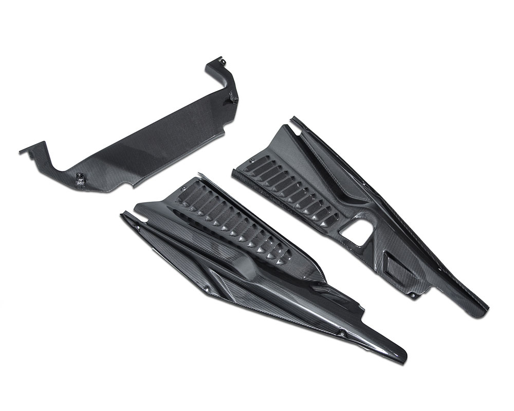 Agency Power Carbon Fiber Engine Panels and Under Screen Panel Ferrari 458 10-14 