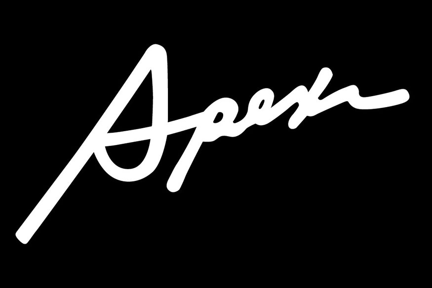 Apexi 6 inch Decal - White, Cursive