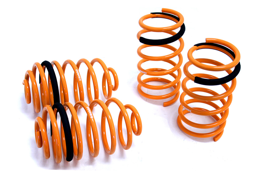 Megan Racing Lowering Springs Saturn Ion 03-07 
