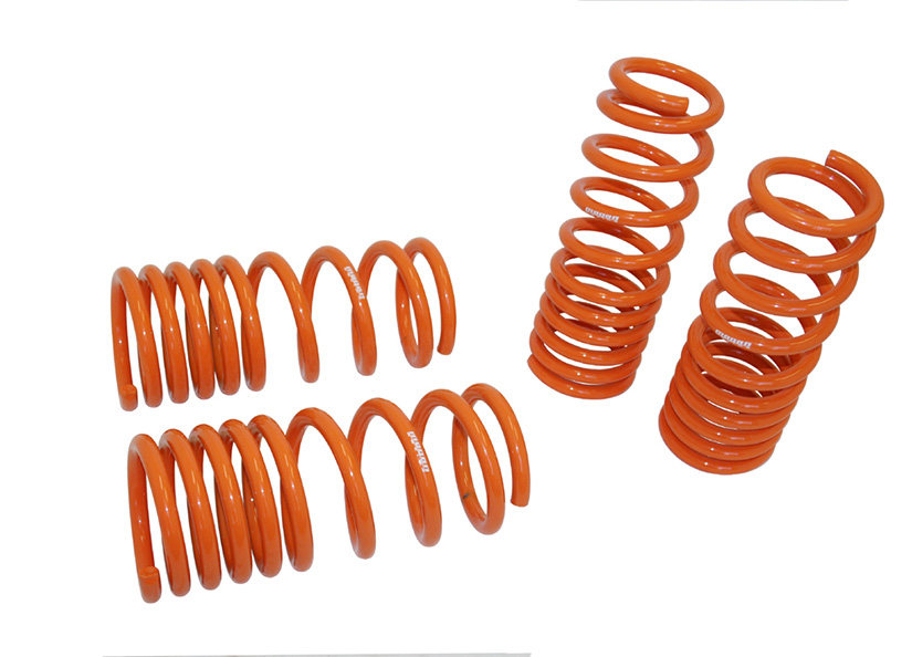 Megan Racing Lowering Springs Nissan 370Z