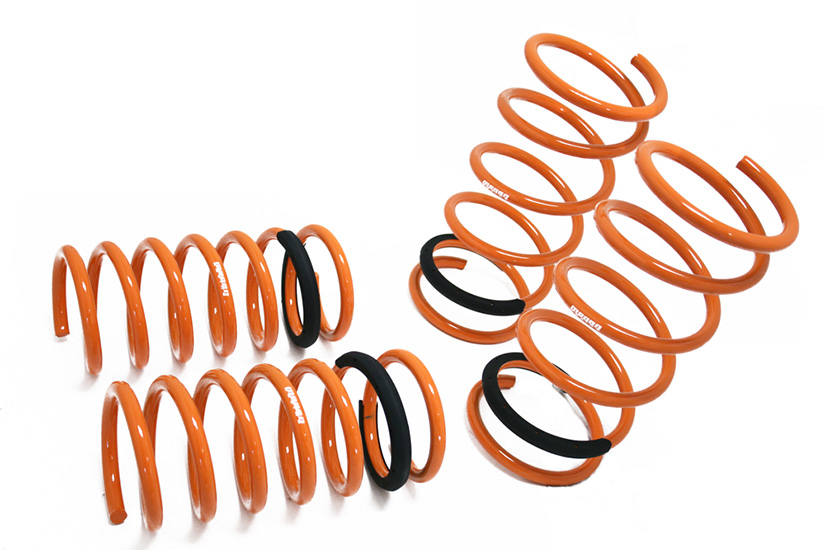Megan Racing Lowering Springs Saturn VUE 02-07