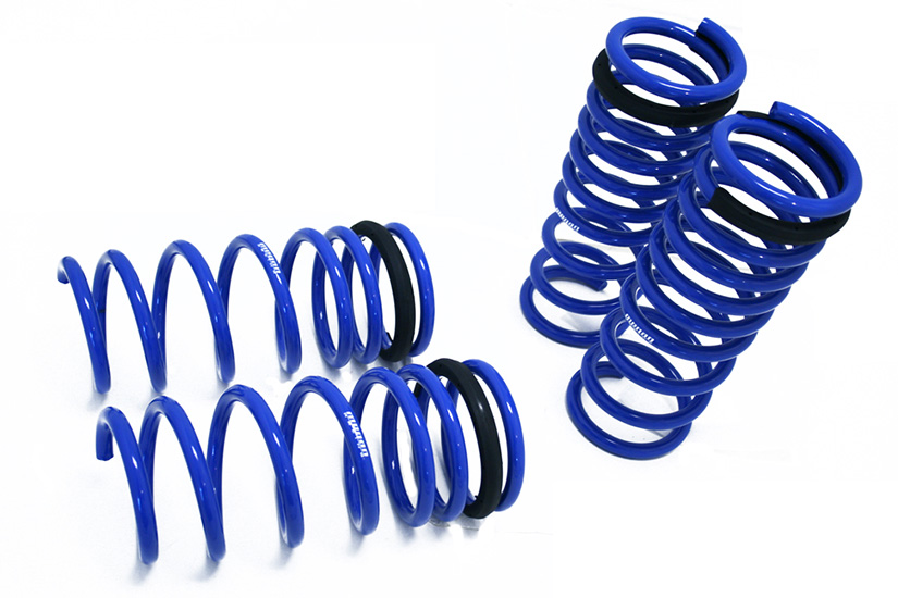 Megan Racing Lowering Springs Lexus IS250/350 06-13