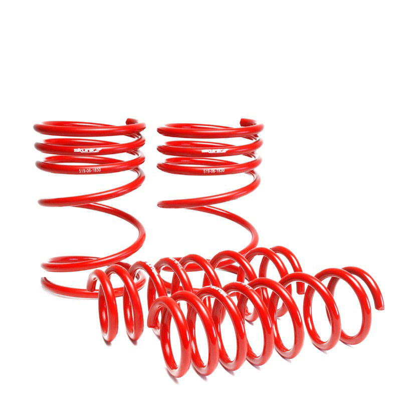 SKUNK2 RACING Lowering Springs MITSUBISHI 2003-05 EVO VIII 1.40 - 1.30"